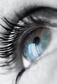 Our Vision